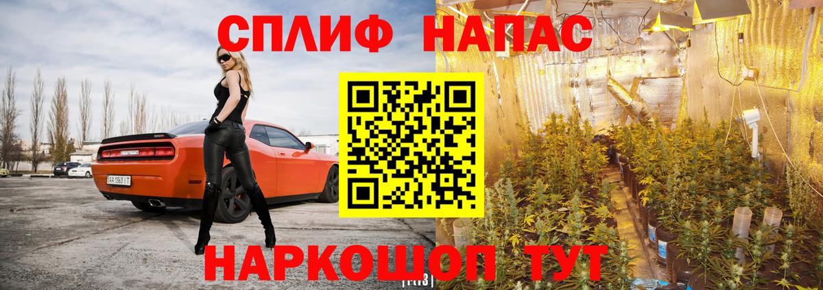 МАРИХУАНА план Рыбинск
